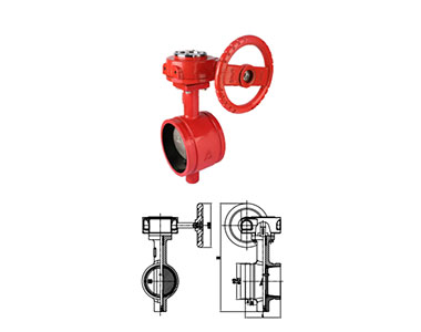 ZSDF8-Q-50?200-16-W 9862 消防蝶閥