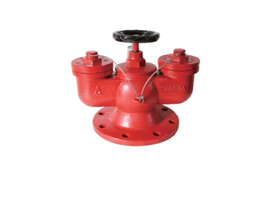 SQD150-1.6A 多用式消防水泵接合器