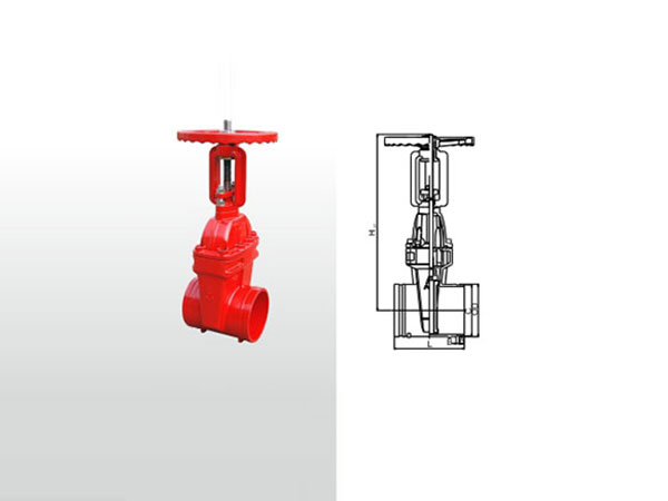 埃美柯法蘭閘閥一旦出現漏氣，授之以漁！